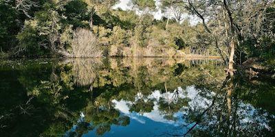 Ruta al pantà de Can Borrell